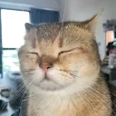 celesteadorable