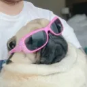anya_vetochka