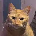 xak0n
