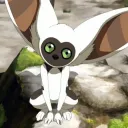 momo_3404
