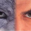 thesawolf1318