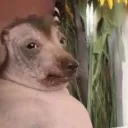 __sys__