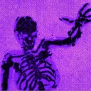 skele43