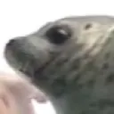 garlicvideos