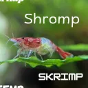 drnoisy