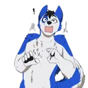 ricohusky