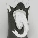 bawakaan