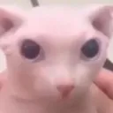 thebutlah