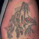 el_lobo_lpv