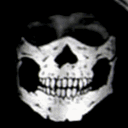 avatar .ⷿ  Alan ツ