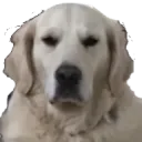 masonmad
