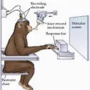 lateral_movement
