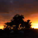 avatar Arizonian🌵