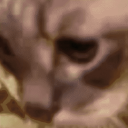 264235435268636674 Avatar