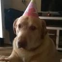 spudfrend