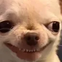 thecougarlover