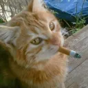 oathb avatar
