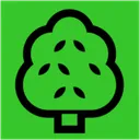 steventhetree