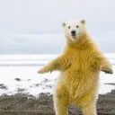 itsseboy