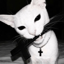 avatar 𝐌𝐞𝐝𝐮𝐬𝐚