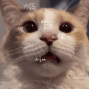 artemiy