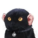 pikkahs