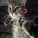 kdb1986.#3007's avatar