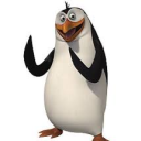 avatar Pingu
