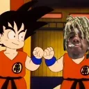 boli2cool