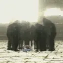 junyawtf