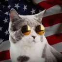 catmeme