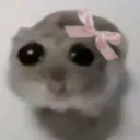 thekakoro