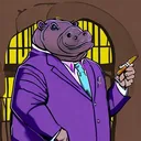 k.hippo