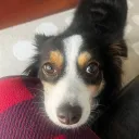 jennine_9