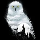 shadowwolf_001
