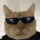 docodo