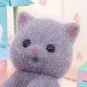 _fcfcfcfc_