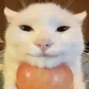 oleenort