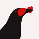 kidcorvid