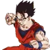 gohan69