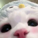 0rya