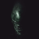 asaaunger343's Avatar