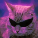 gatito.miau