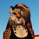 jazzardewitt