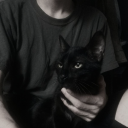 avatar 𝓚𝓾𝓻𝓸