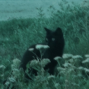 avatar buuuuuulochka