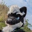 odisorca
