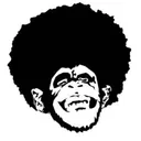 zmattg