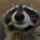 snakur
