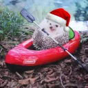 pocofrosty12's Avatar
